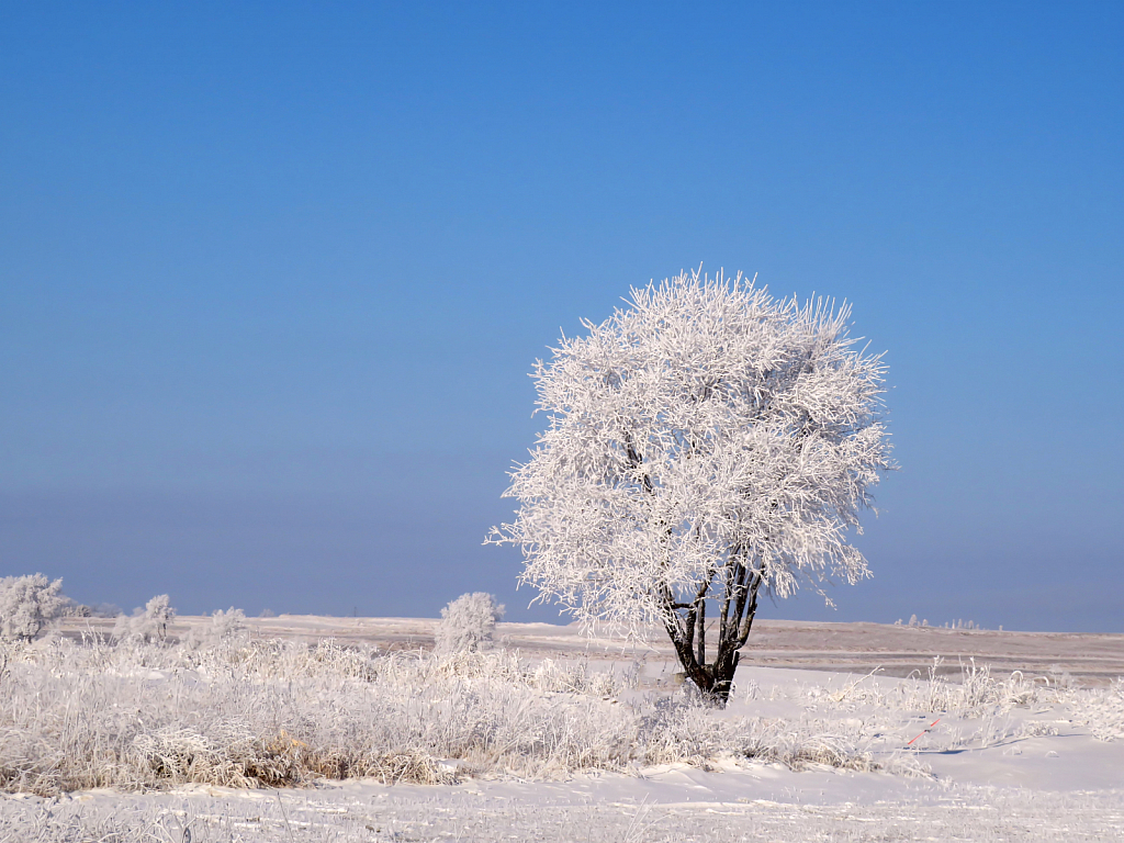 Blue Skies And Frost