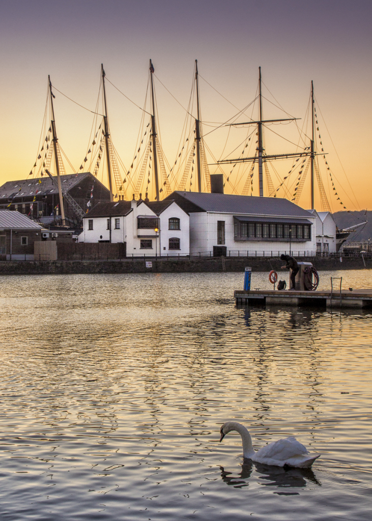 Swan Sunset, Bristol UK