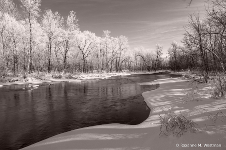 Follow the lines of winter