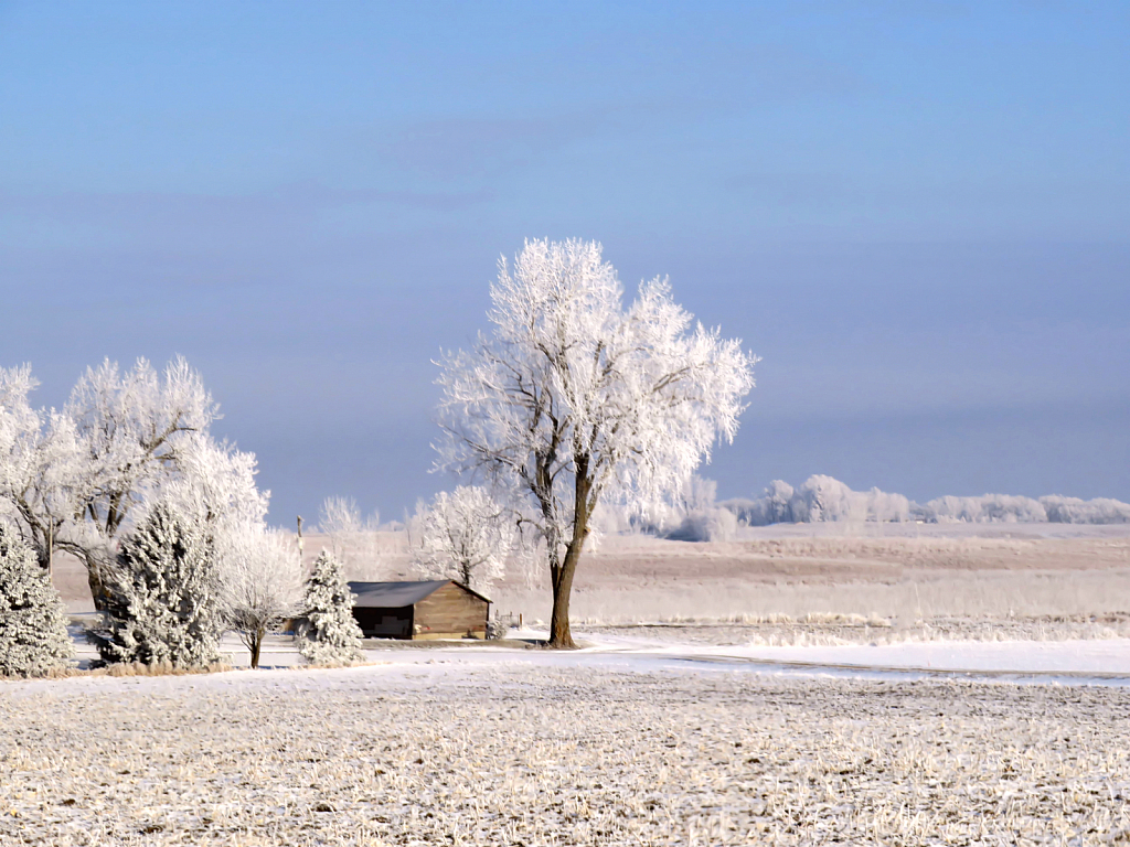 Cold But Beautiful