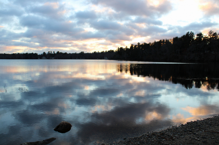 Reflections at Robbins Pond