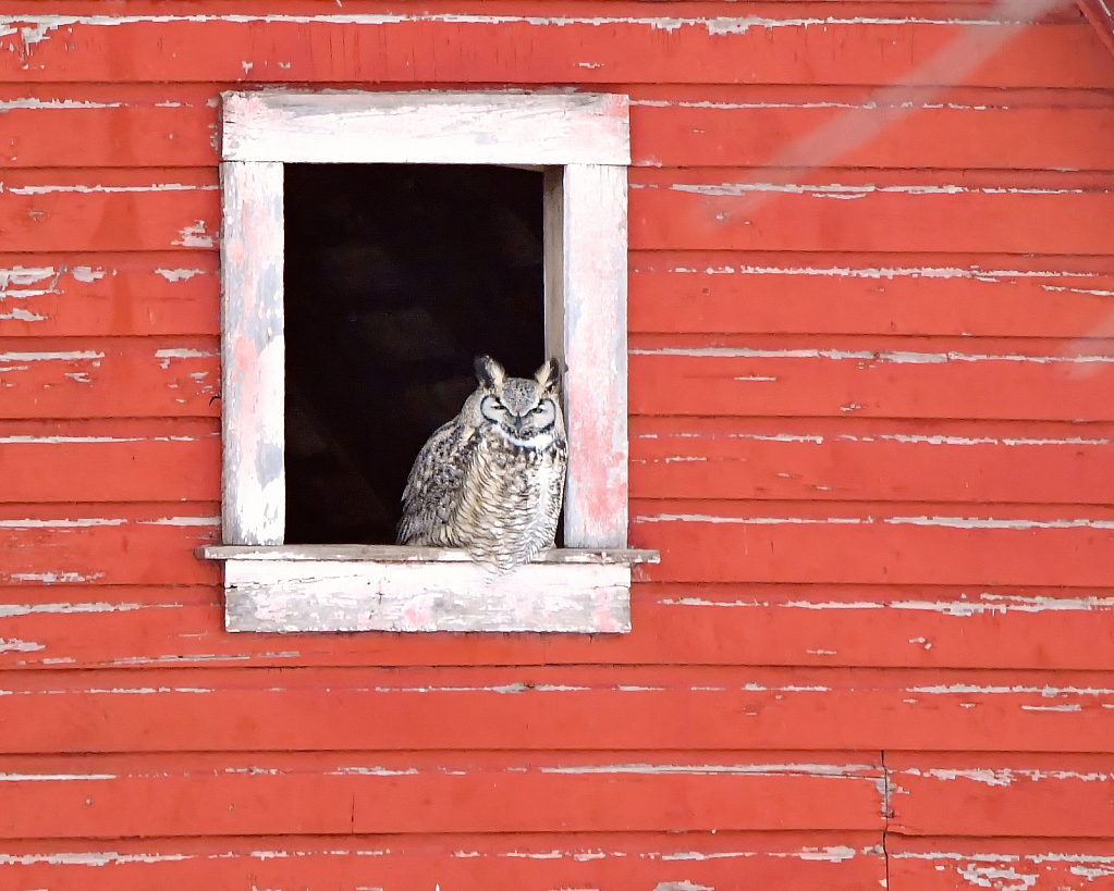 The Red Barn