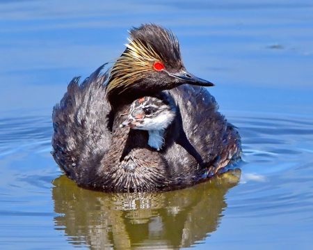 Mother and Little One