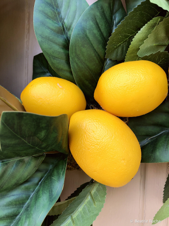 2021 Photo Contest - Three Lemons