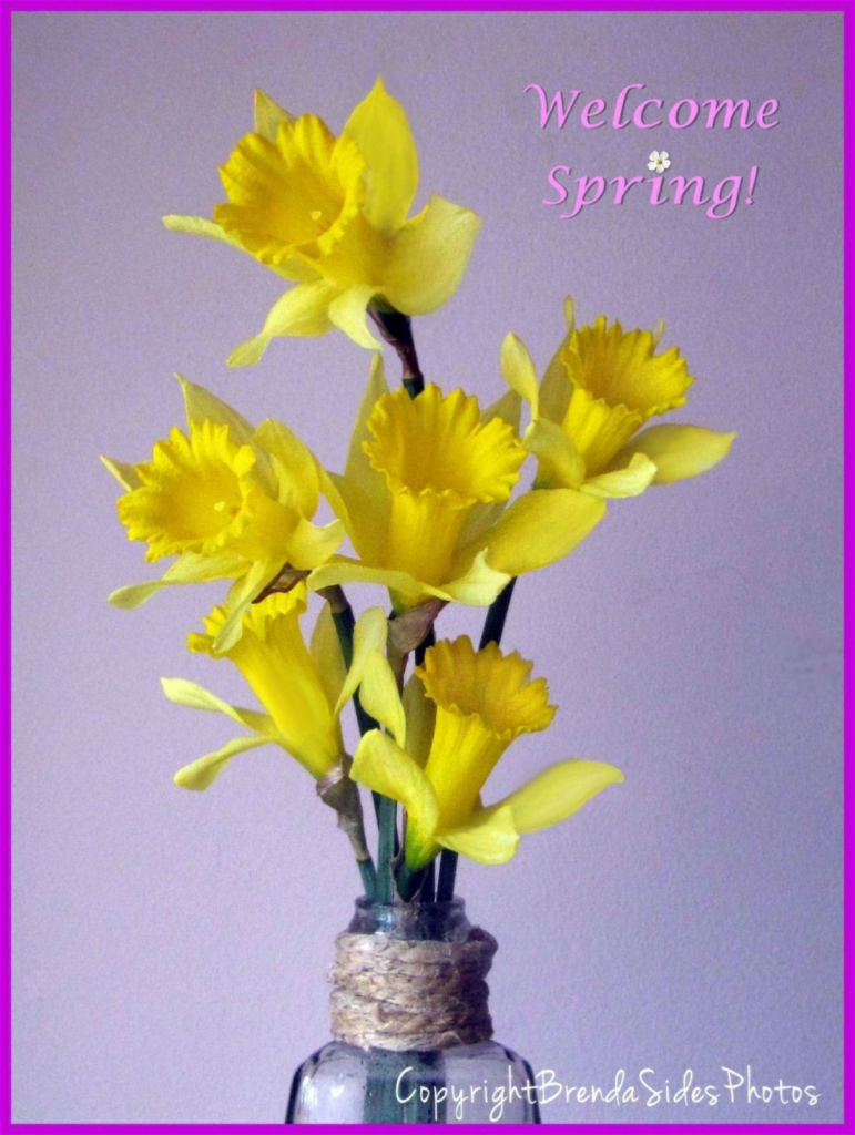 ~Welcome Spring!~