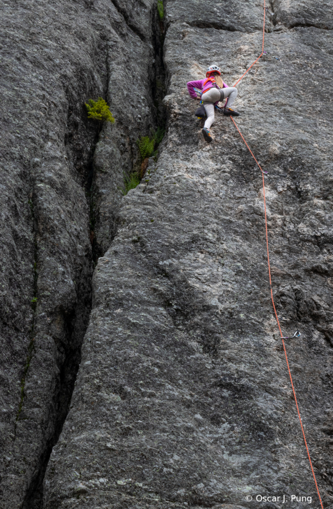 Fearless Little Climber