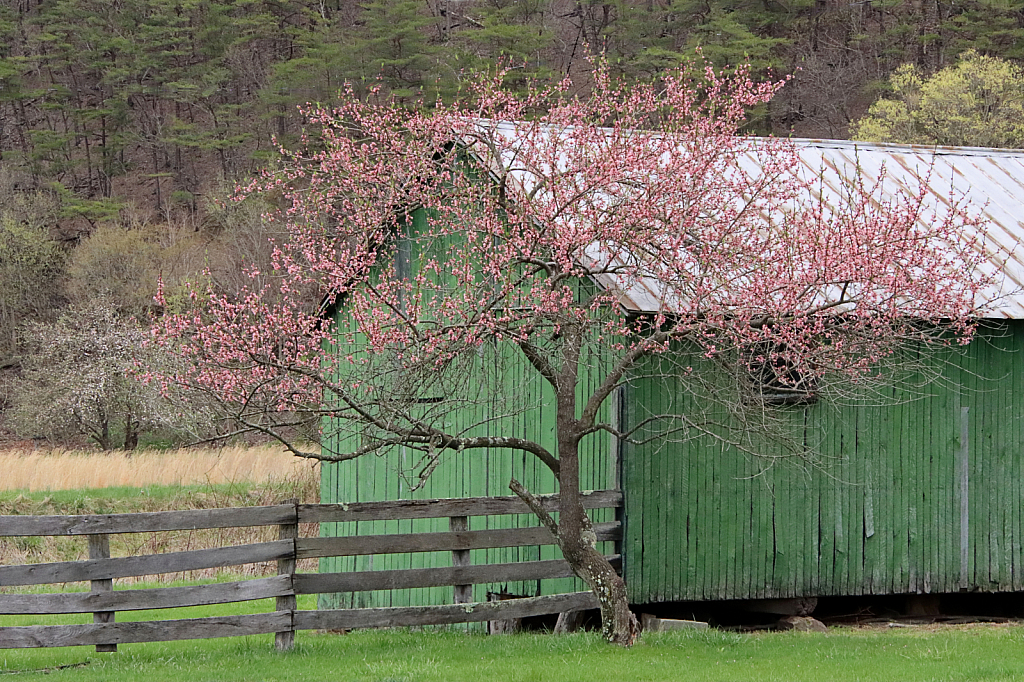 Springtime