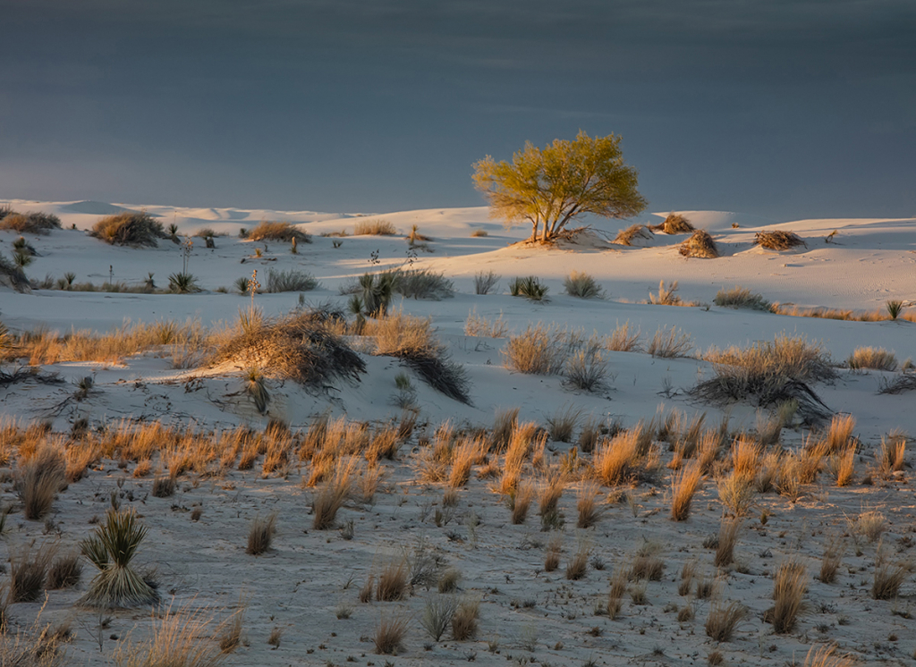 White Sands