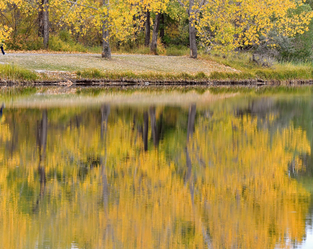 Autumn Colors