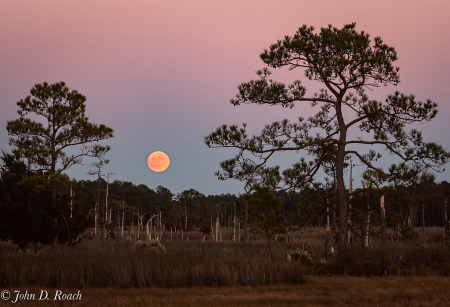 Moonrise at the Marsh