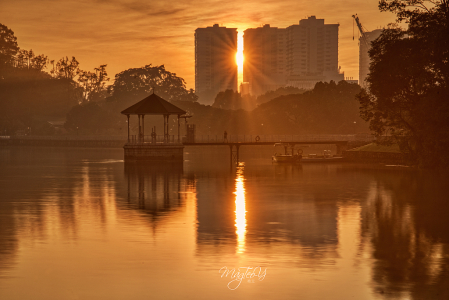 Sunrise @ MacRitchie Reservior, Singapore 
