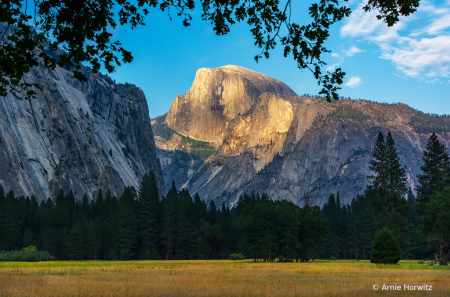Yosemite-Half Dome with Meadow and Trees - II
