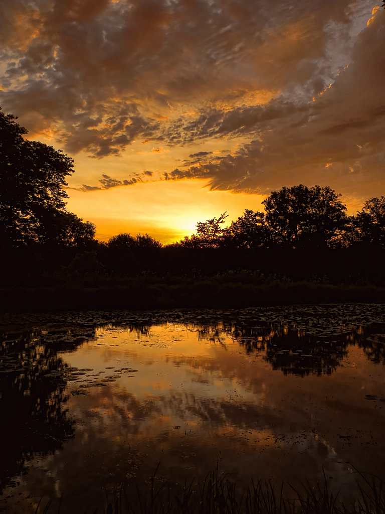 Pioneer Park Pond At Sunrise