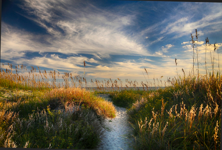 Beach Path