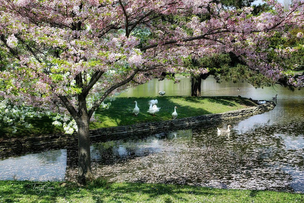 A Lazy Spring Day