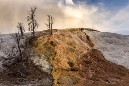 Mammoth Hot Springs