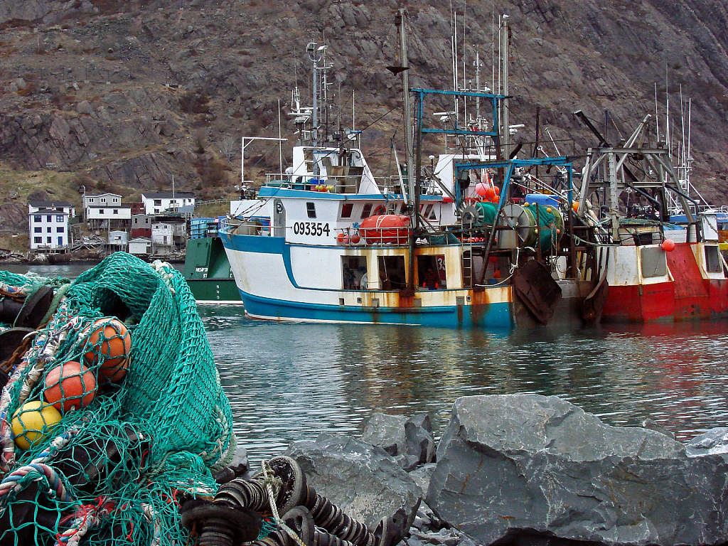 Fishing Fleet in Port