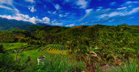 Philippine Highlands - Maao
