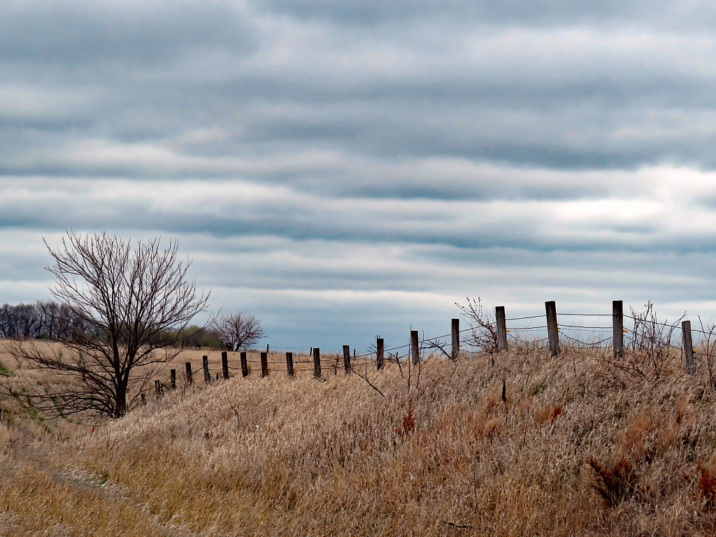 Fences Along The Road