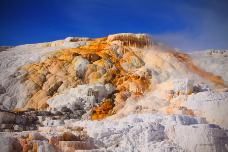 Hot Springs Yellowstone National Park 