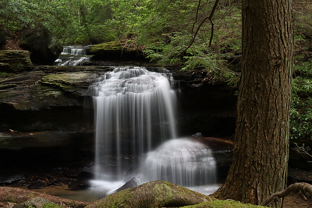 Lower Jonathan Falls