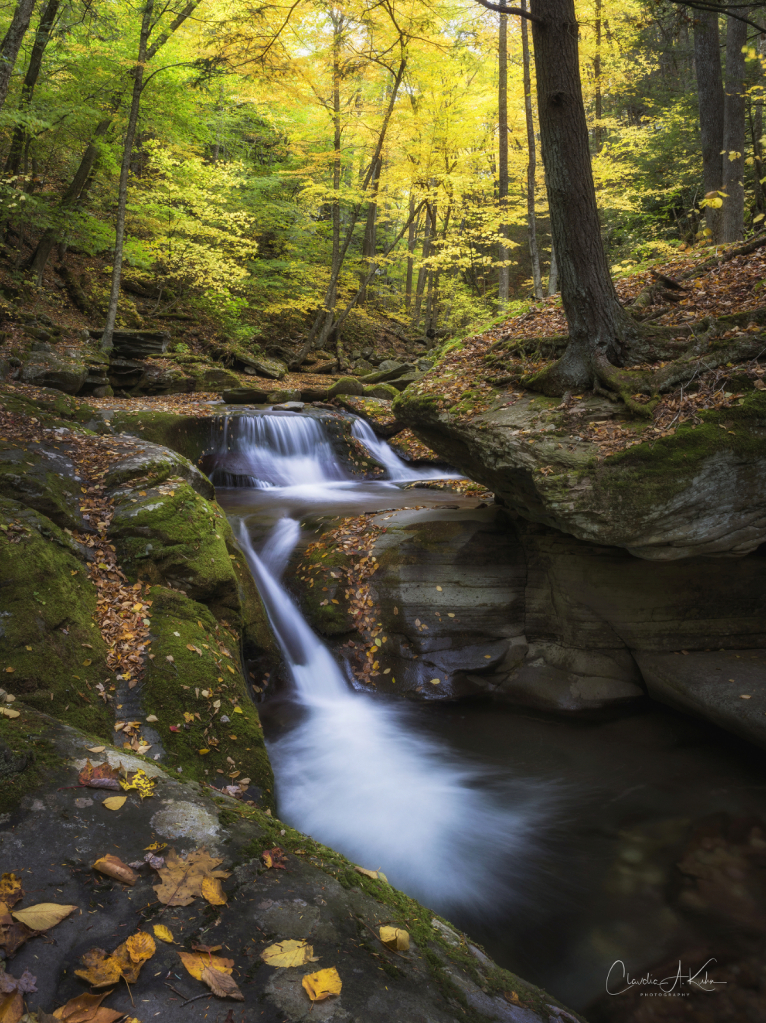 Catskills Falls