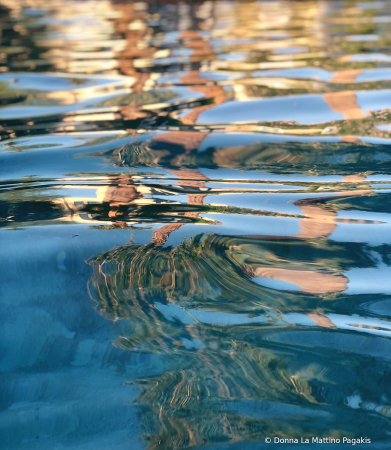 Reflecting Palms