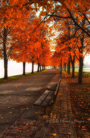 Autumn by the river