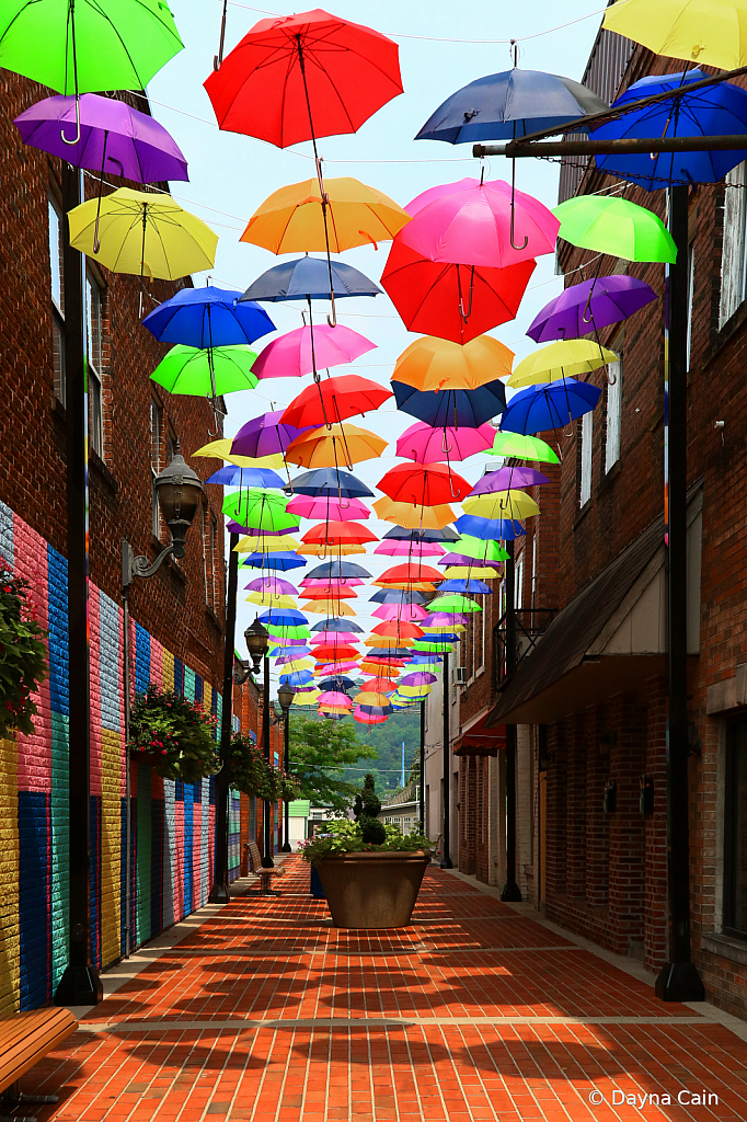 Alley Colors