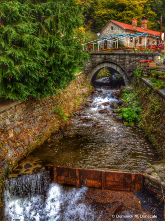 ~ ~ MOUNTAIN STREAM ~ ~ 