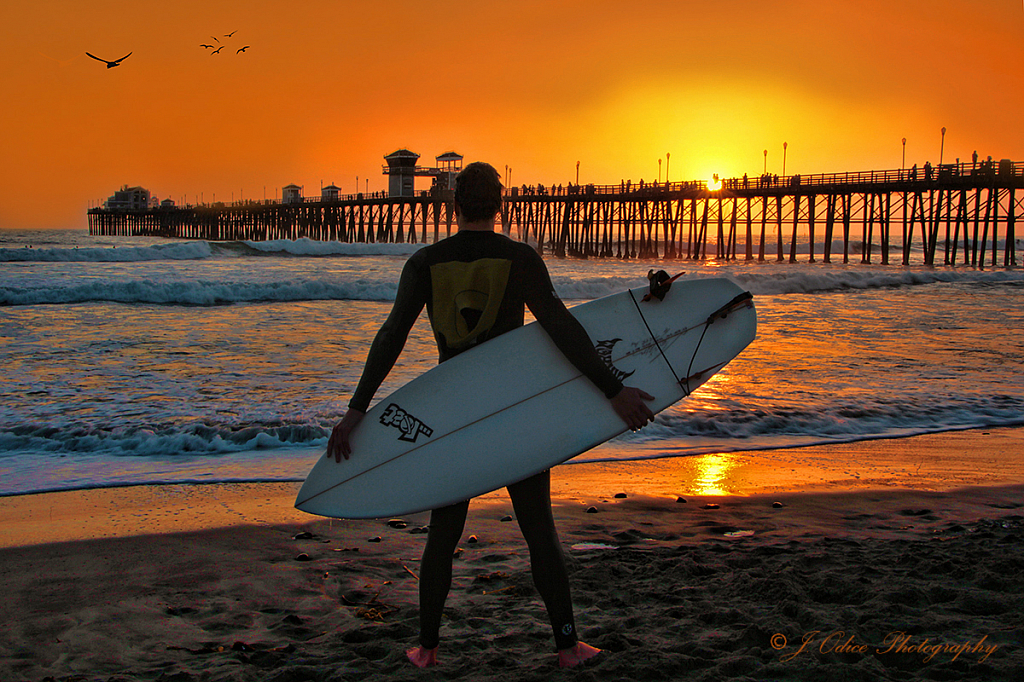 Sunset Surfer