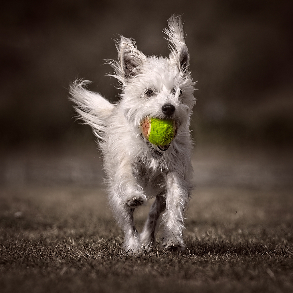 Running with the ball