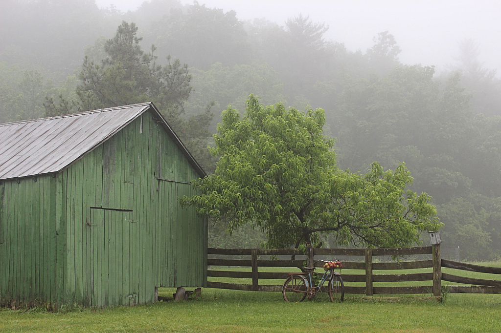 Barn and Bike