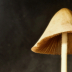 © Larry Lawhead PhotoID# 15948524: Milky Conecap Mushroom