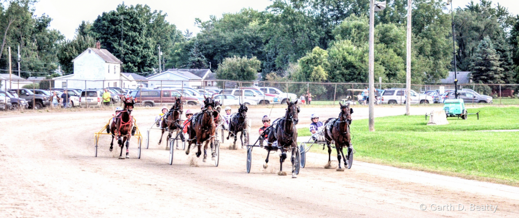 Harness Racing in Action 
