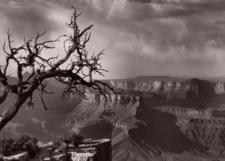 Canyon in Black and White