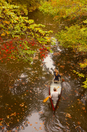 Picture Yourself In A Boat On A River