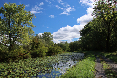 Along the Canal