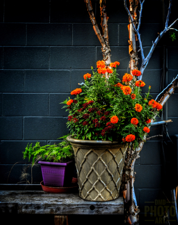 ~ ~ AUTUMN FLOWER POTS~ ~ 