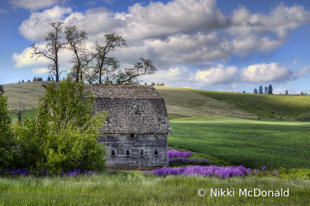 Old Barn in the Palouse