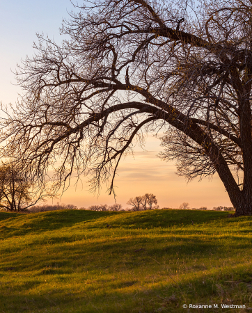 On a spring evening