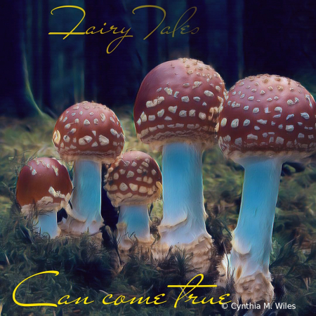 Fairy Tale Mushrooms 
