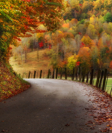 Deep Branch Road