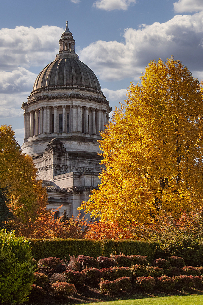 Autumn Splendor