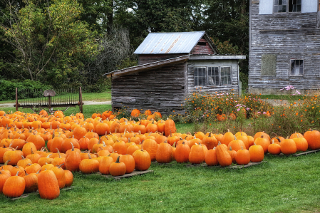 Autumn in Vermont