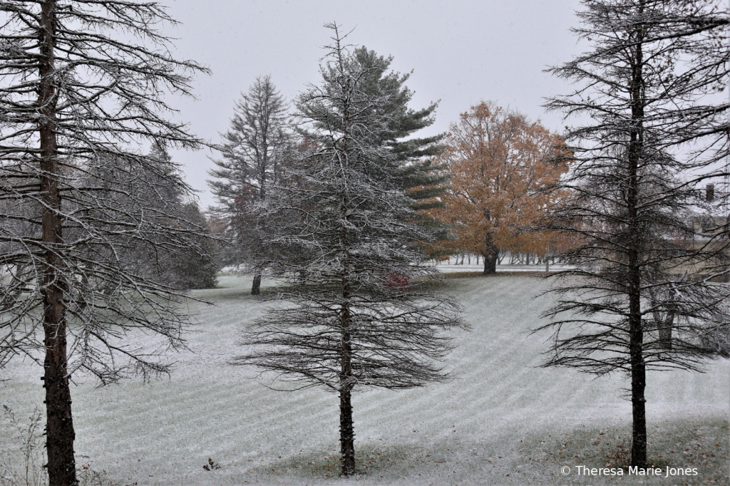 First Fall Snow