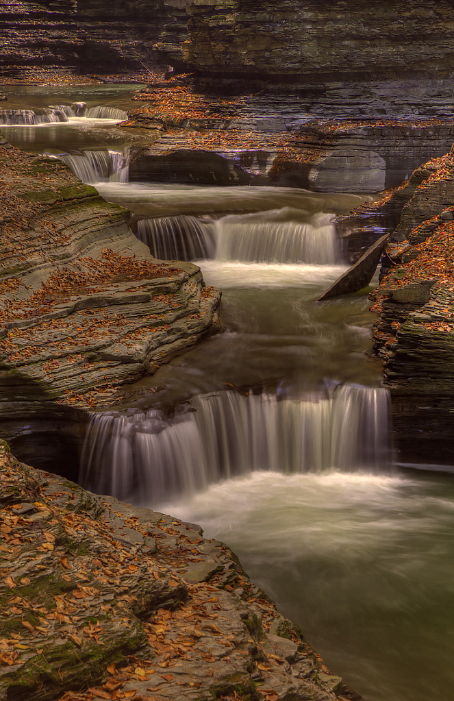 Watkins Glen