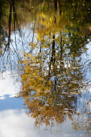 Fall Reflections