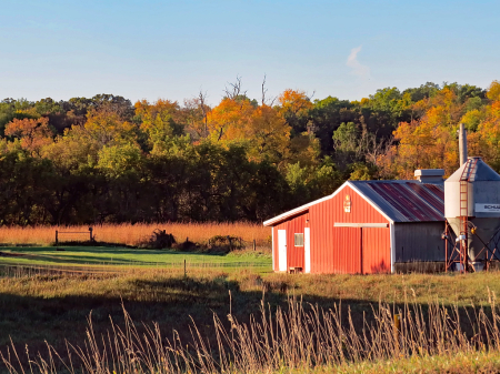 Country Autumn