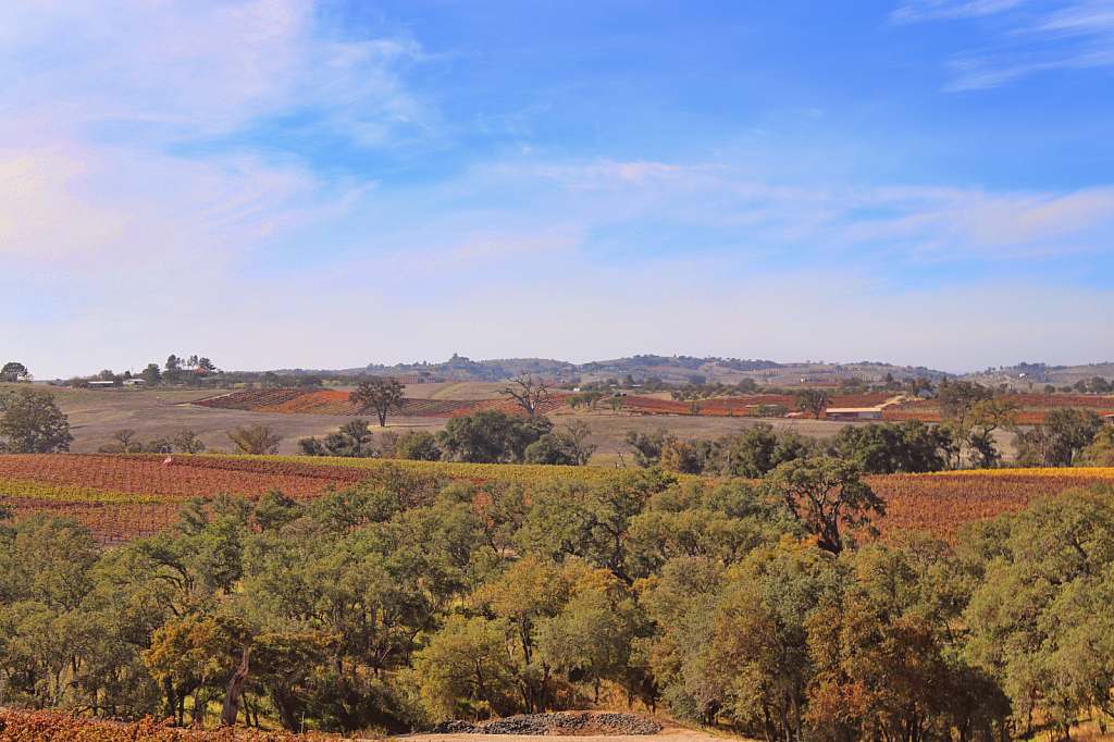 Paso Robles WIne County